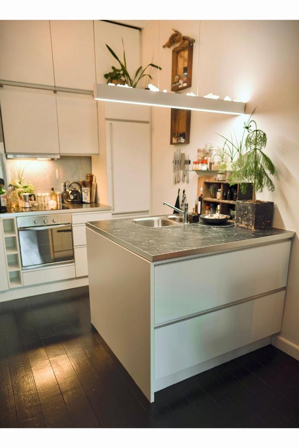 Lovely, 1898 Jugendstil Design Apartment, Old Haarlem City Centre, Fully Renovated With Parkview Near Amsterdam And Zandvoort, Bloemendaal Beach ภายนอก รูปภาพ