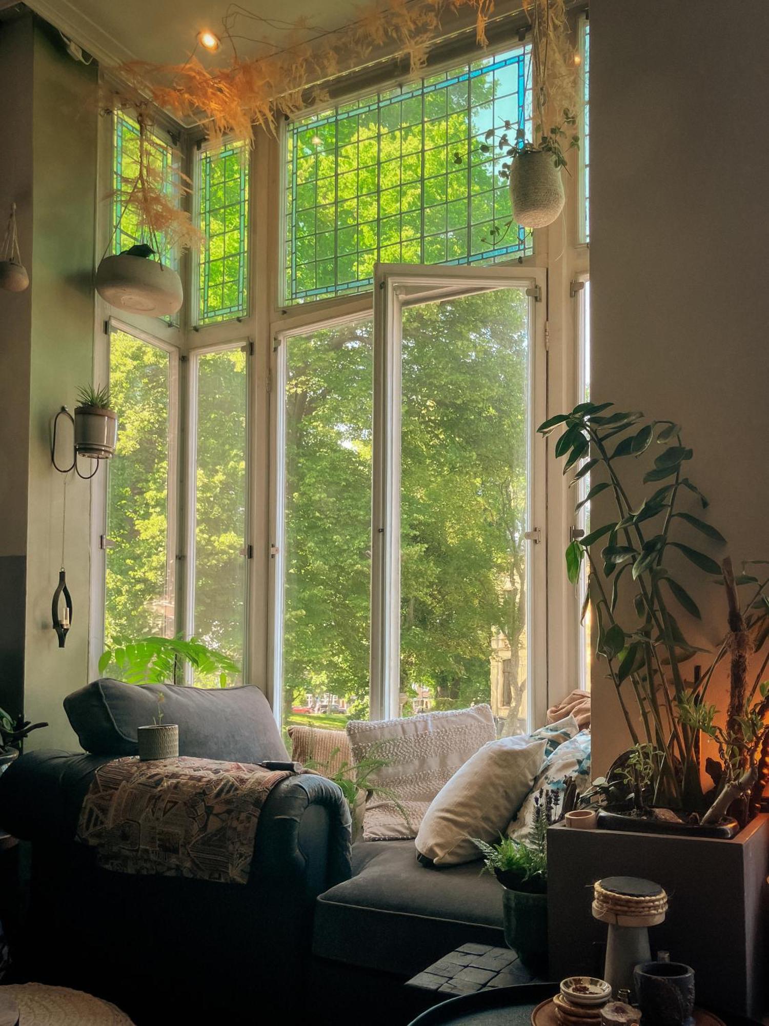 Lovely, 1898 Jugendstil Design Apartment, Old Haarlem City Centre, Fully Renovated With Parkview Near Amsterdam And Zandvoort, Bloemendaal Beach ภายนอก รูปภาพ